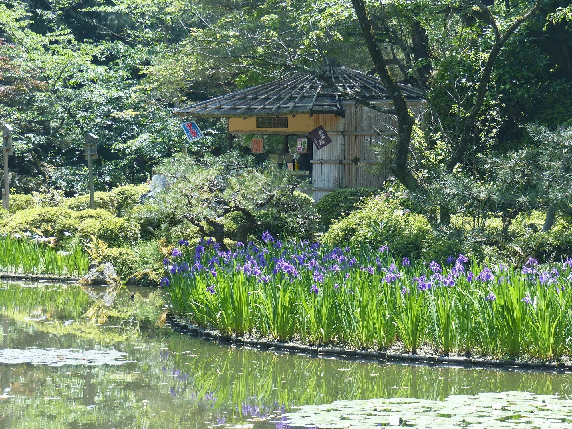 Guest House Kobako Kyōto Exterior foto